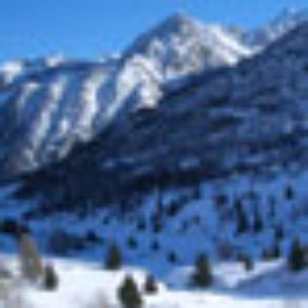 On The Rocks Restaurant and Bar